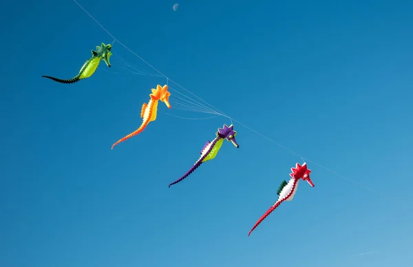 Aquiloni variopinti della libellula che volano nel cielo blu — Foto Stock