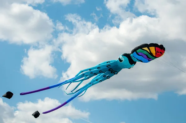 Colorful octopus kites flying in blue sky — Stock Photo, Image