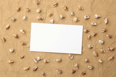 Arka plan olarak deniz kabukları ile kum üzerinde beyaz boş çerçeve. Sahil kumu ile küçük kabuklar doku üzerinde boş kartı.