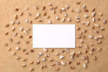 Arka plan olarak deniz kabukları ile kum üzerinde beyaz boş çerçeve. Sahil kumu ile küçük kabuklar doku üzerinde boş kartı.