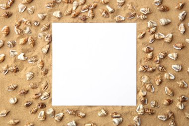 Arka plan olarak deniz kabukları ile kum üzerinde beyaz boş çerçeve. Sahil kumu ile küçük kabuklar doku üzerinde boş kartı.