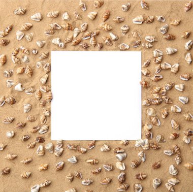 Arka plan olarak deniz kabukları ile kum üzerinde beyaz boş çerçeve. Sahil kumu ile küçük kabuklar doku üzerinde boş kartı.