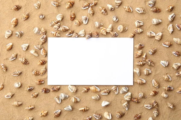 Arka plan olarak deniz kabukları ile kum üzerinde beyaz boş çerçeve. Sahil kumu ile küçük kabuklar doku üzerinde boş kartı.