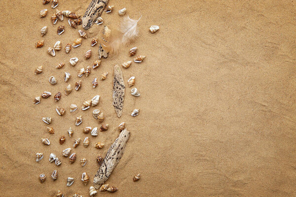 Пляжный песок с крошечными морскими ракушками, жаром и сухим фоном. Мини небольшие раковины, перо и дрейф древесины на песчаном фоне с пустым местом
.