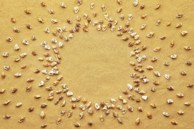 Daire kare küçük deniz kabukları plaj kum zemin üzerine yapılmış. Boş yer ile kum üzerinde mini küçük kabuklar.