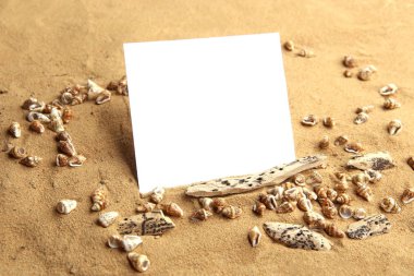 Boş kartı ile küçük kabuklar kum plajında. Kum deniz kabukları ve dalgaların karaya attığı odun olarak arka plan üzerinde beyaz boş çerçeve. 