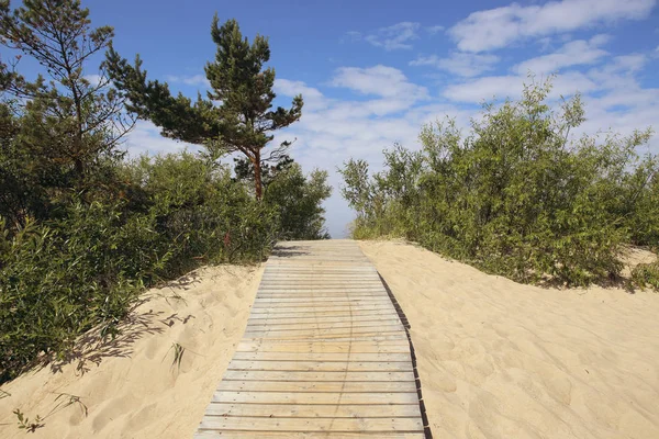 Dünen Mit Holzsteg Zur Ostsee Brettweg Über Sandhügel Mit Stranddünen — Stockfoto