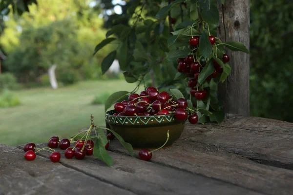 Frisch Gepflückte Kirschen Schale Auf Holztisch Garten Frische Reife Kirschen — Stockfoto