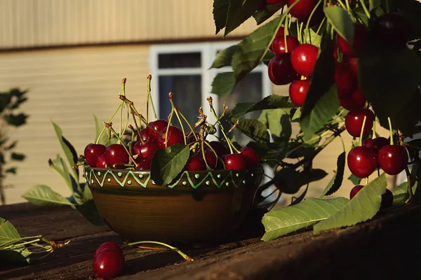 Frisch Gepflückte Kirschen Schale Auf Holztisch Garten Frische Reife Kirschen — Stockfoto