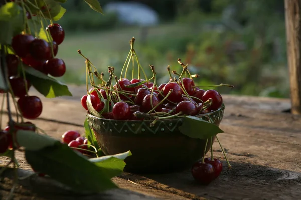 Cerises Fraîchement Cueillies Dans Bol Sur Une Table Bois Dans — Photo