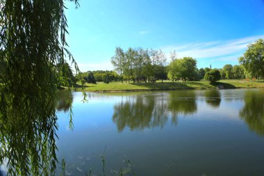Şehir park su birikintisi yaz aylarında. Gölet ve söğüt dalları parktan doğal görünümünü.
