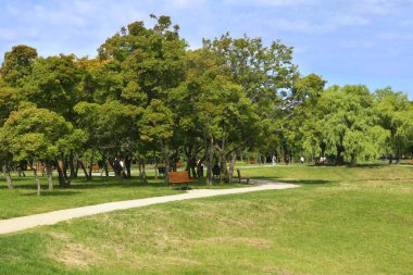 Yolu Şehir Parkı yaz aylarında aracılığıyla. Satranç tahtası tablolarla Parkı doğal görünümünü. Parkta piknik alanı.