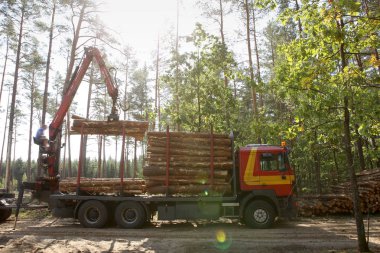 Ahşap hasat ve orman taşımacılığında. Orman ormancılık günlük endüstri taşımacılığının. 