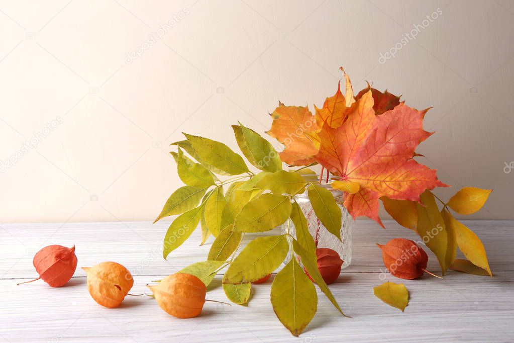 Maple and ash tree leaves in vase and dried plants chinese lantern in interior. Autumn colorful composition as decoration indoor.