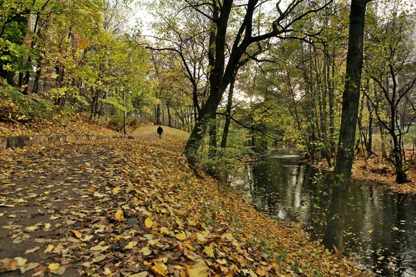 Sendero Pie Largo Del Río Ciudad Otoño Río Akerselva Oslo — Foto de Stock