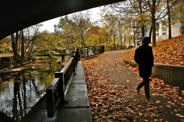 Yürüyüş Yolu Şehir Nehri Boyunca Köprünün Altından Sonbaharda Olacak Nehir — Stok fotoğraf
