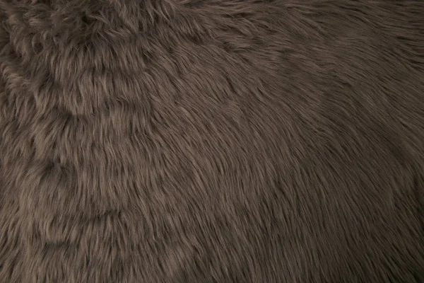 Grey artificial fur background. Fur fabric texture dark background.