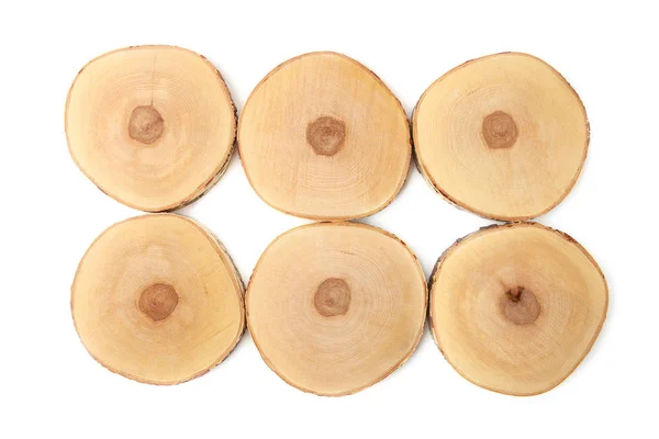 Tace Drewniane Białym Tle Wyciąć Drzewo Brzoza Okrągły Kikut Widok — Zdjęcie stockowe