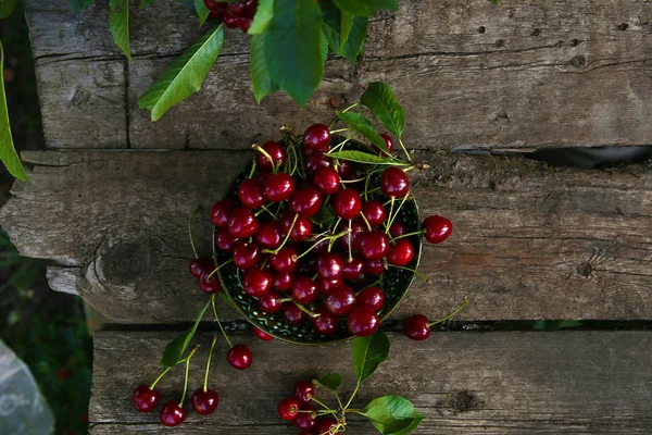 Kirschen Ernten Ländlichen Garten Kirschen Beeren Schüssel Auf Holzplanke Oberfläche — Stockfoto