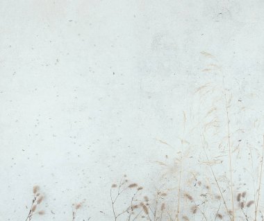 Kurumuş otlarla birlikte taştan fayanslar döşemiş. Kurumuş yabani otlar ve çiçeklerle hafif grunge taşının dokusu, boşluğu kopyala. 