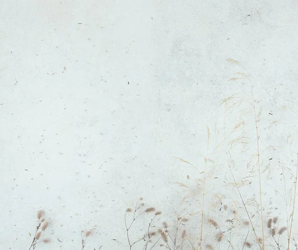 Kurumuş otlarla birlikte taştan fayanslar döşemiş. Kurumuş yabani otlar ve çiçeklerle hafif grunge taşının dokusu, boşluğu kopyala. 