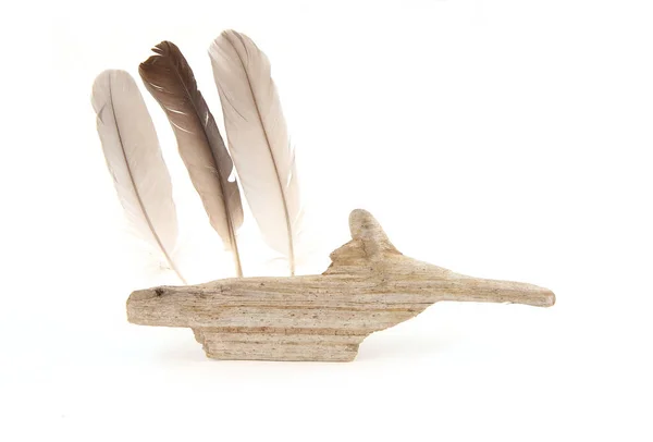 Driftwood Lény Tollak Elszigetelt Fehér Háttér Tengeri Strand Téma Dekoráció — Stock Fotó