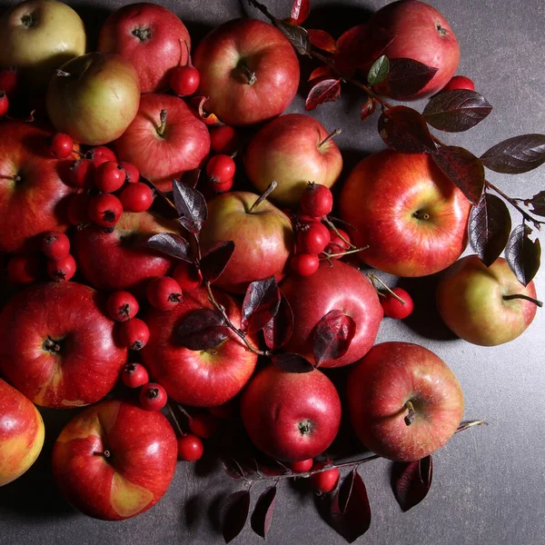 Composition Avec Pommes Rouges Baies Aubépine Automne Nature Morte Arrière — Photo