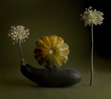 Still life with zucchini, pattison and leek flowers. clipart