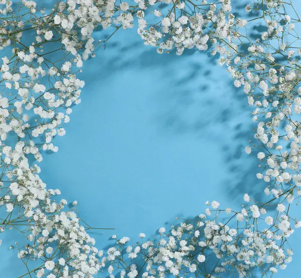 Small white Gypsophila flowers on blue background