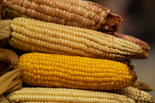 Corn Cob Street Market Shallow Depth Field — Stock Photo, Image