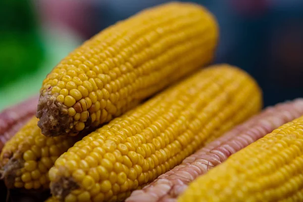 Corn Cob Street Market Shallow Depth Field — Stock Photo, Image