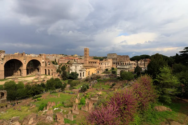 Romeins forum, Palatijn. — Stockfoto