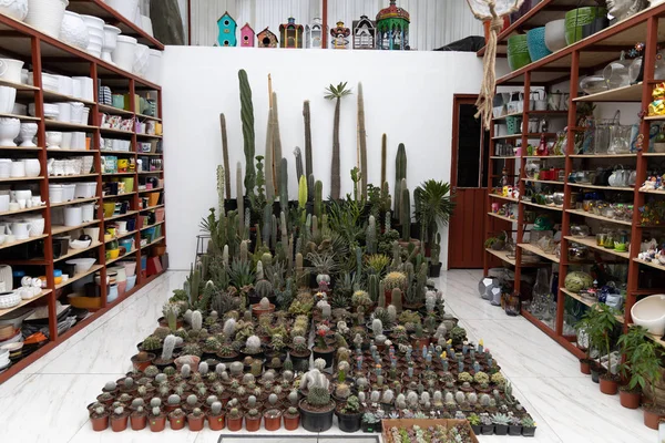 Rostlinné školky v Coyoacan Mexico. — Stock fotografie