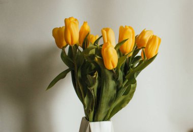 Beyaz arka planda sarı lale demeti