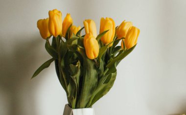 Beyaz arka planda sarı lale demeti