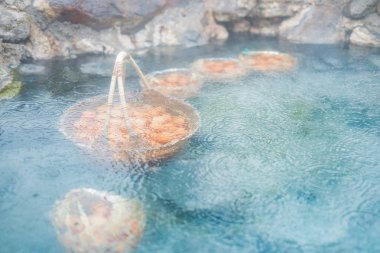 Lampang Chaeson Milli Parkı kaplıca, Tayland