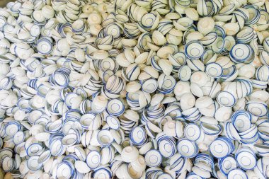 Lampang müze seramik, tayland