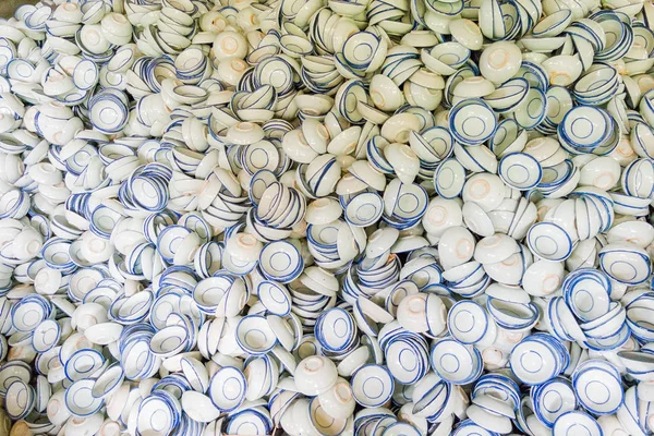 Lampang müze seramik, tayland