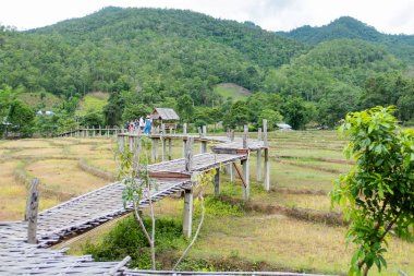 Pai, Maehongson pirinç alanında güzel Bambu köprü