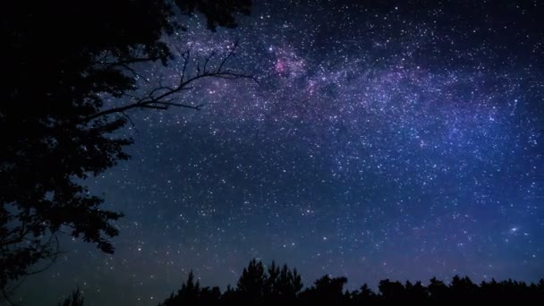 Sterrenhemel time-lapse van de Melkweg — Stockvideo