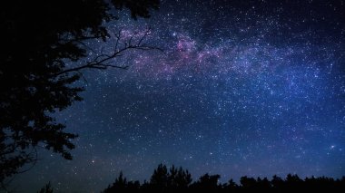 Beautiful starry sky of the Milky Way clipart