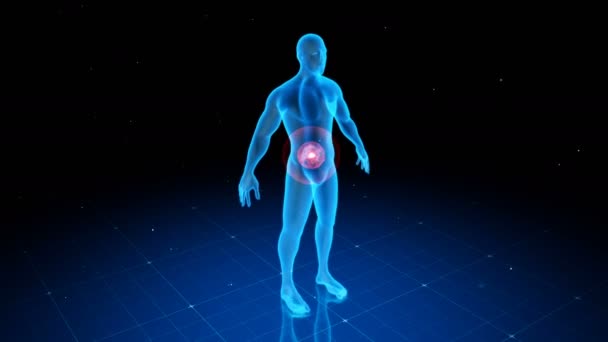 Cuerpo humano digital con dolor visible en diferentes lugares, 6 opciones diferentes — Vídeo de stock
