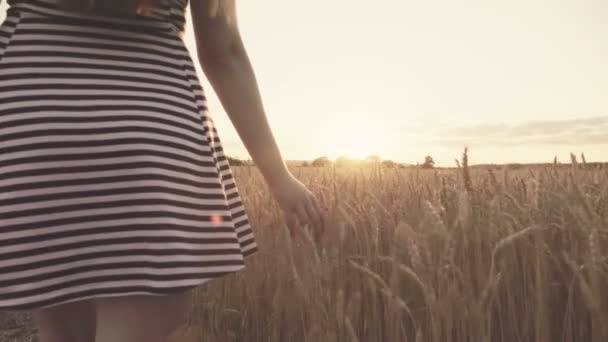 Menina bonita em um campo de trigo dourado usa óculos de realidade virtual no pôr do sol em câmera lenta — Vídeo de Stock