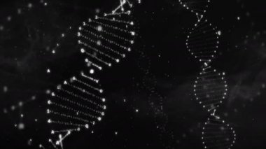 Dna dönme onaltılı kodu üzerinden sorunsuz animasyon