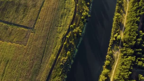 森とフィールド都市の近くの川の中での美しい田園地帯での飛行 — ストック動画