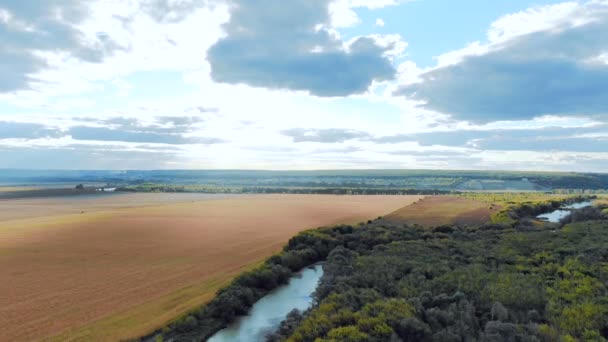A gyönyörű vidéken, az erdők és mezők, közel a város folyója között repülés — Stock videók