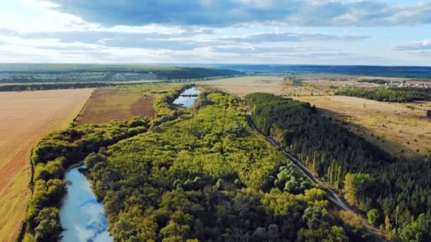 Flug in die schöne Landschaft inmitten eines Flusses aus Wald und Feldern in der Nähe der Stadt — Stockvideo