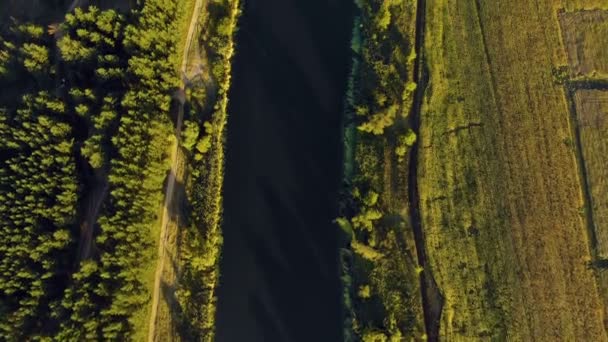 Volo nella splendida campagna tra un fiume di boschi e campi vicino alla città — Video Stock