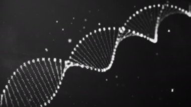 Dna dönme onaltılı kodu üzerinden sorunsuz animasyon