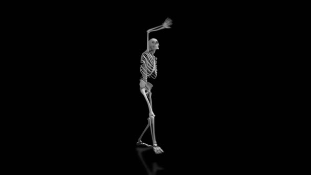 Skeleton dancing on isolated black background with reflective floor, seamless loop animation — Stock Video